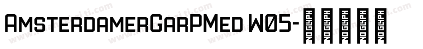 AmsterdamerGarPMed W05字体转换